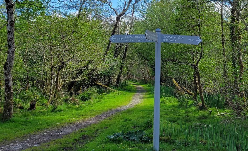 Hiking path in Killarney National Park and a direction sign showing the way to Ross Castle.
