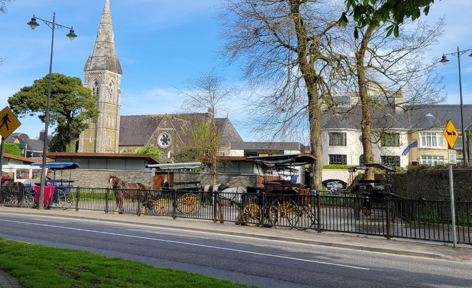 Here's a photo I took of jaunting cars waiting in town across from the hotels to pick up customers.
