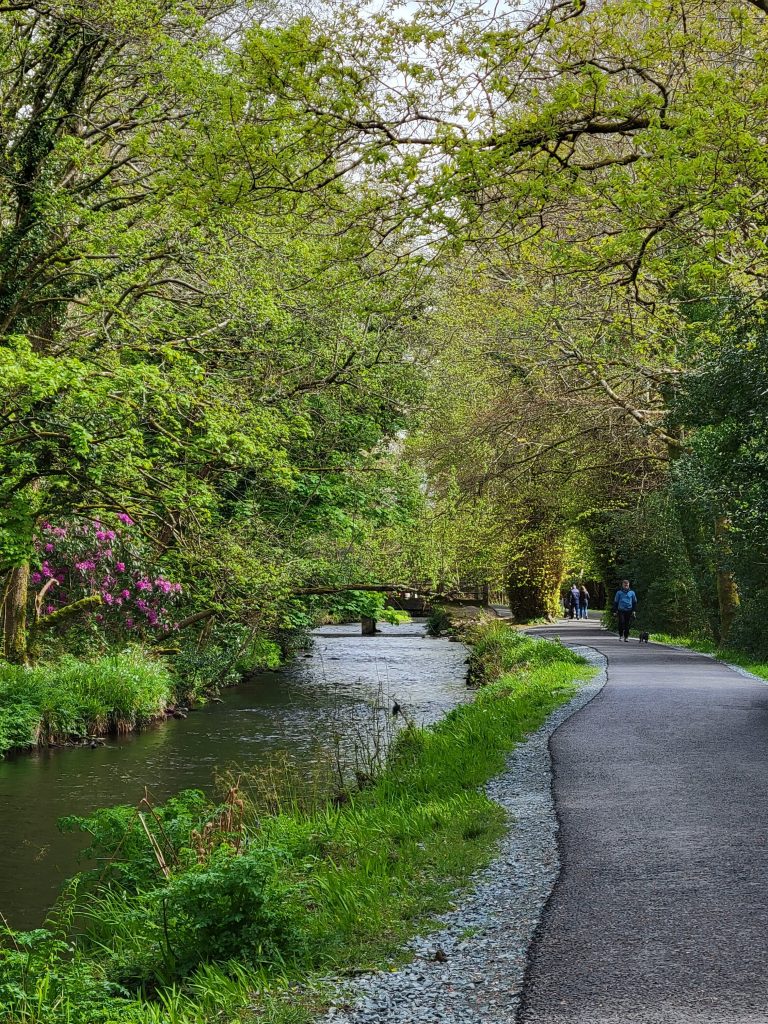 Walking path next to a creek in Killarney National Park.